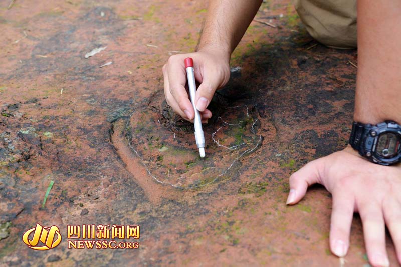 ?????? ??? ???? ?????  ????????? ???? ??? ??? ????? ??? ?? ?????