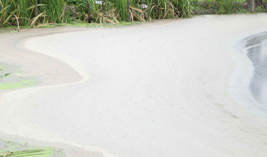 ???? ???? ???? ?? ????? ?? ?????