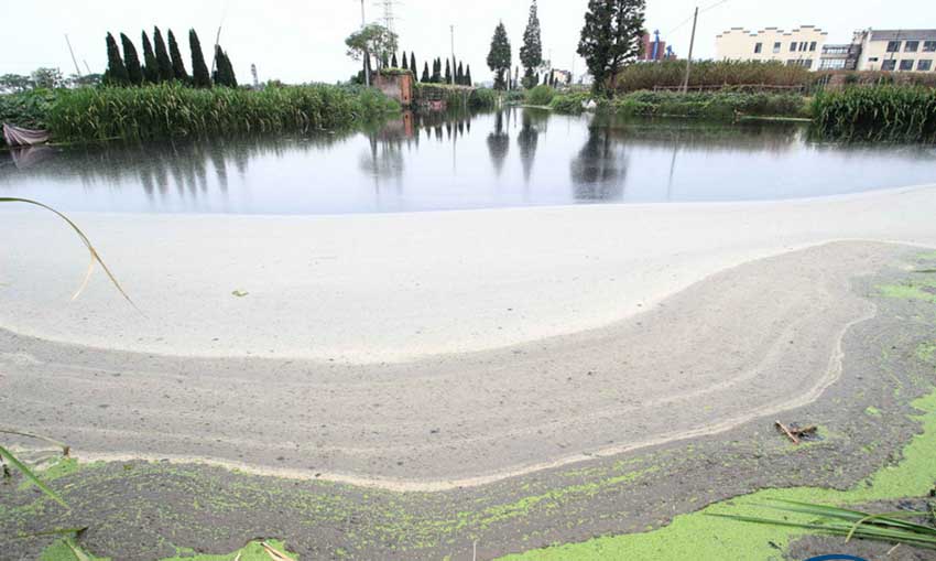 ???? ???? ???? ?? ????? ?? ?????