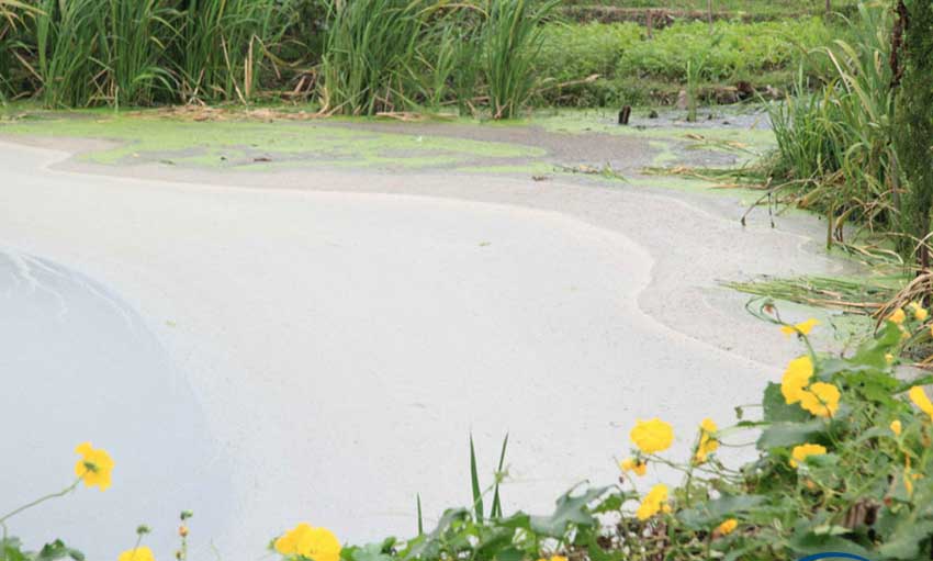 ???? ???? ???? ?? ????? ?? ?????