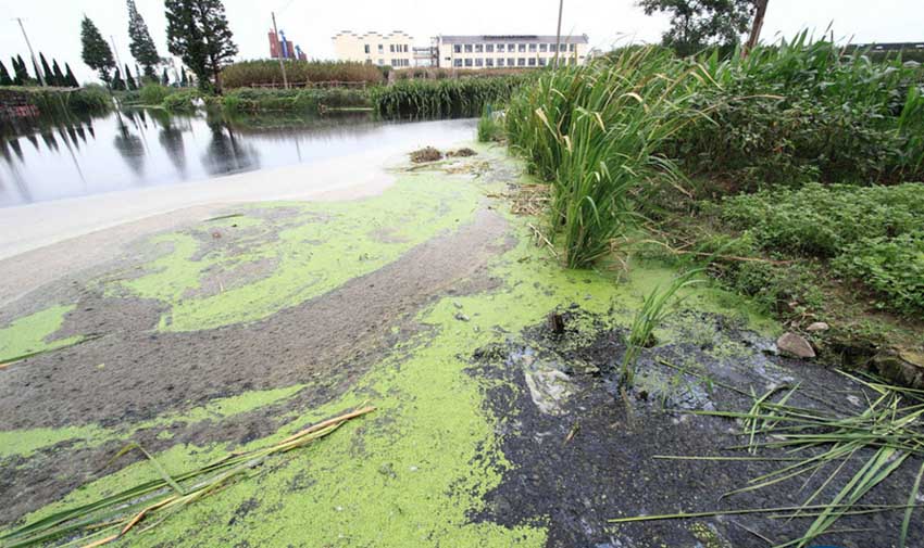 ???? ???? ???? ?? ????? ?? ?????