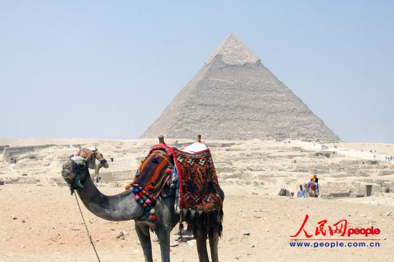 ?????? ?????? ????? ????? ?????? ?????