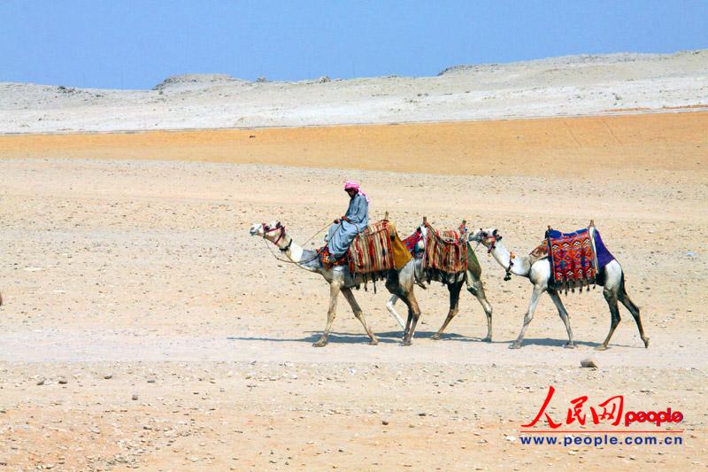 ?????? ?????? ????? ????? ?????? ?????