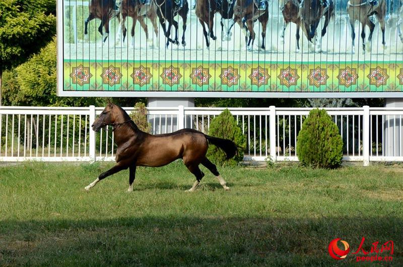 ??? ????? ???? ?????? ?????? ?????