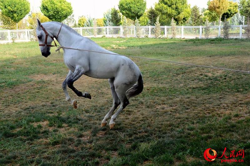 ??? ????? ???? ?????? ?????? ?????