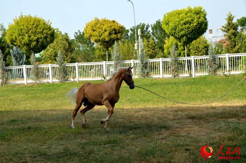 ??? ????? ???? ?????? ?????? ?????