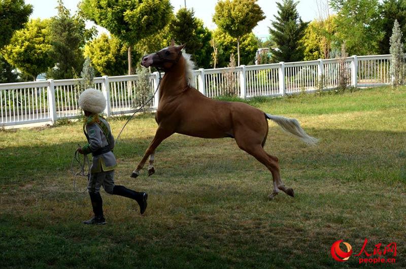 ??? ????? ???? ?????? ?????? ?????