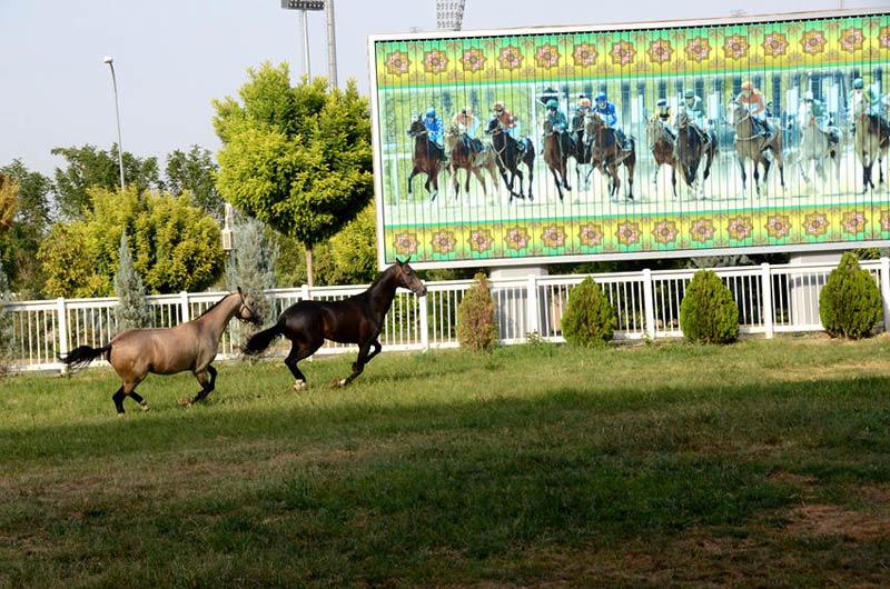 ??? ????? ???? ?????? ?????? ?????