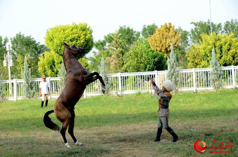 ??? ????? ???? ?????? ?????? ?????