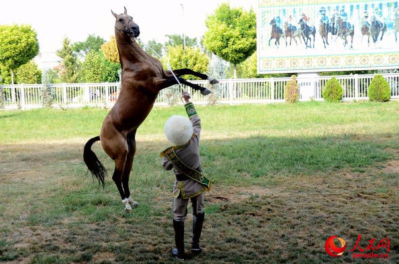 ??? ????? ???? ?????? ?????? ?????