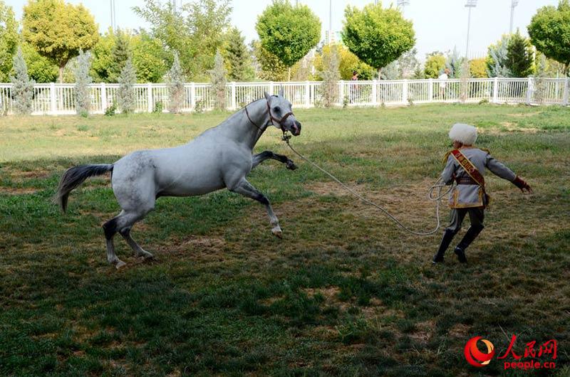 ??? ????? ???? ?????? ?????? ?????