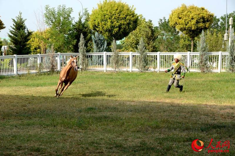 ??? ????? ???? ?????? ?????? ?????