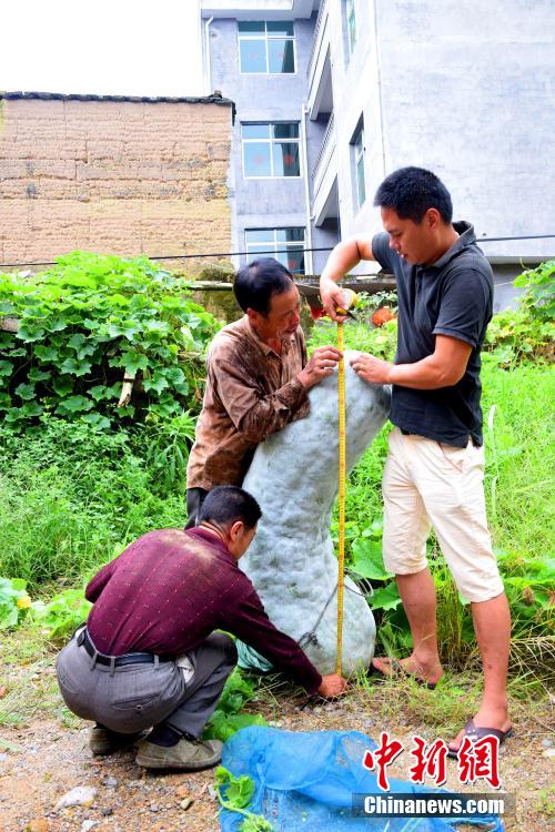 ???? ???? ???? ????? ????? ???? ???? 86.75 ???