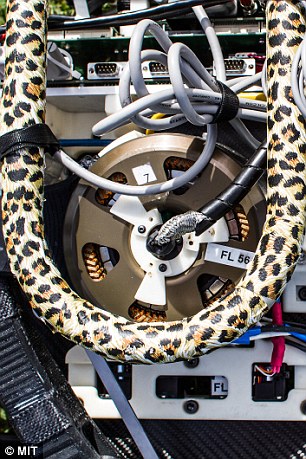 ????? ??????? ??????? ?????? ????? ???? ?????? ????