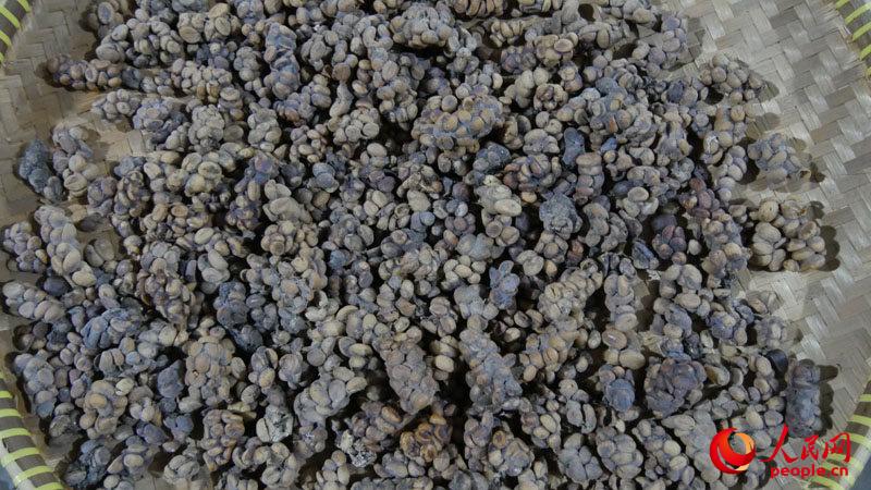 ?????? ???? ???? ????? ?? ?????????