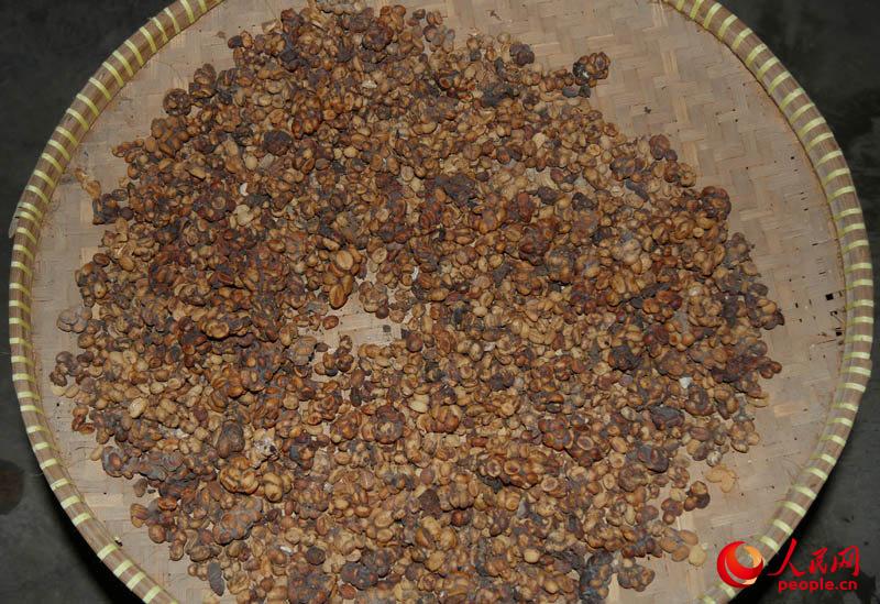 ?????? ???? ???? ????? ?? ?????????