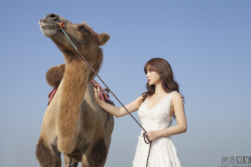 ????? ????? ????? ???? ?????? ????? ?? ????? ?????