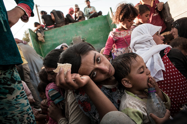 ????? ?????? ??? ???? ??????? ??????? ???????