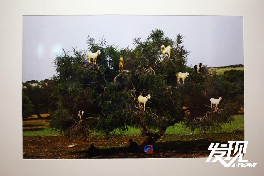 ?????? ?????? ?? ???? ?????? ??????