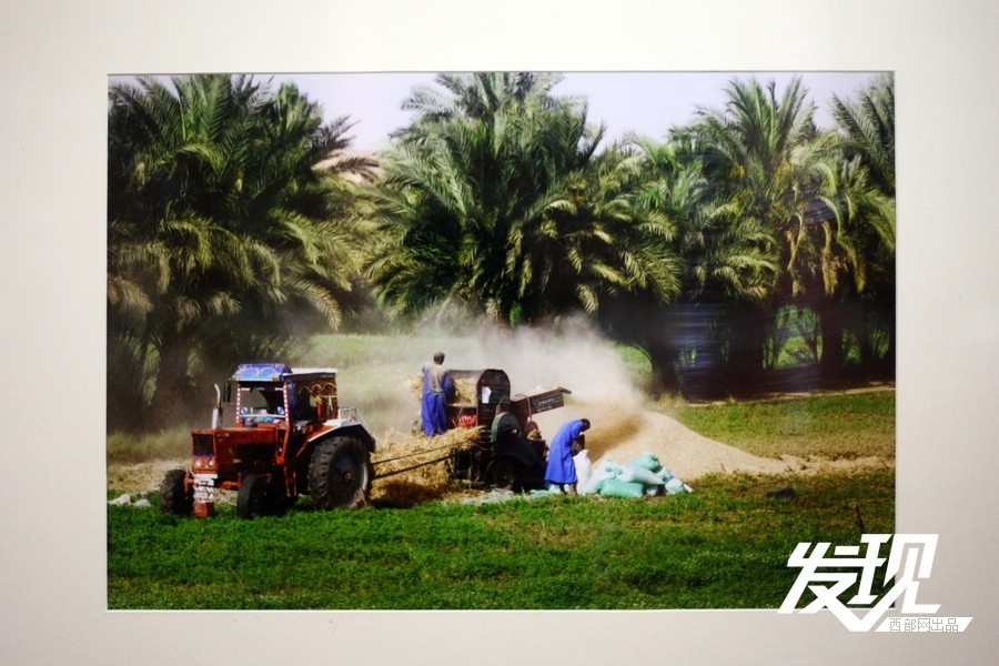 ?????? ?????? ?? ???? ?????? ??????