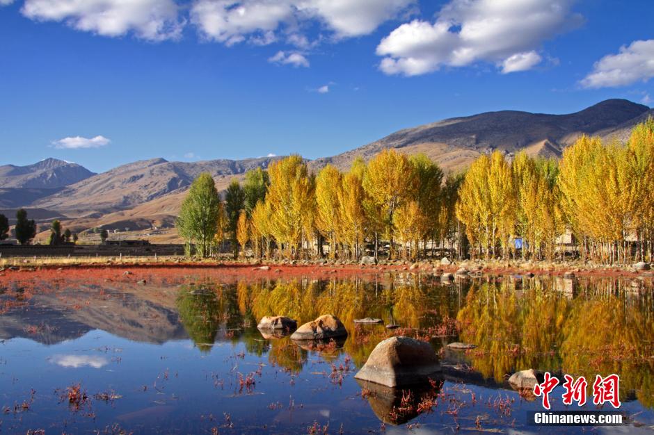 ?????? ???? ??? ?? ?????? ??????? ???????