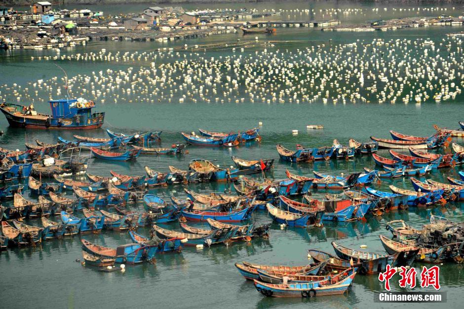 ??? ?????? ?? ????? ????? ???? ??? ??? ?????