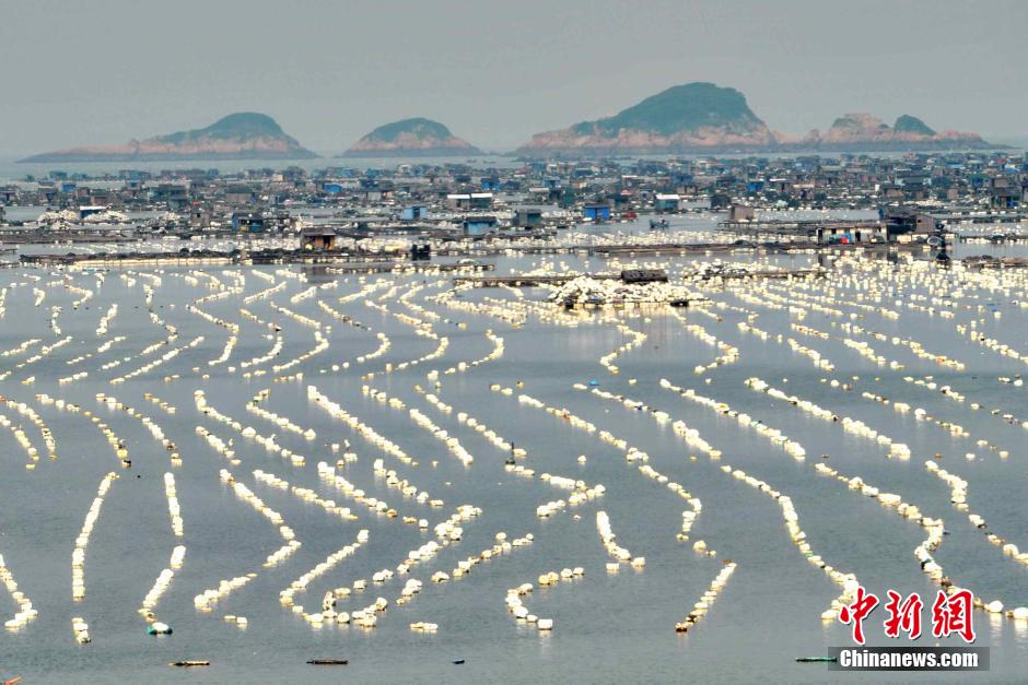 ??? ?????? ?? ????? ????? ???? ??? ??? ?????