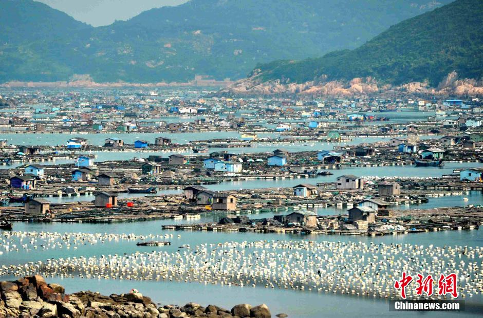 ??? ?????? ?? ????? ????? ???? ??? ??? ?????