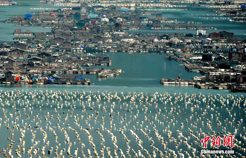 ??? ?????? ?? ????? ????? ???? ??? ??? ?????