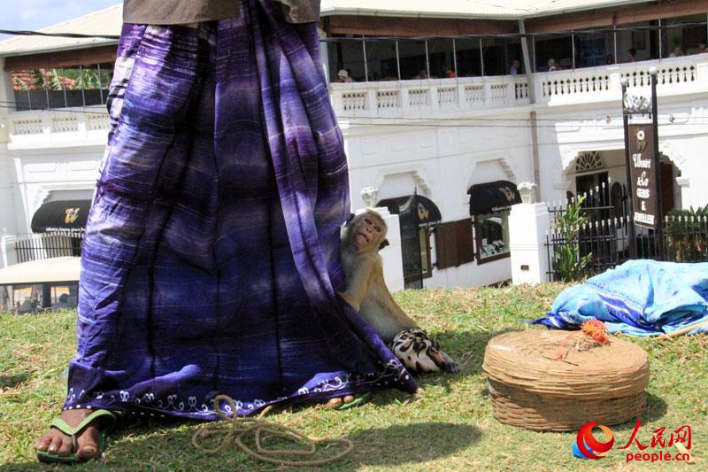 ???? ????? ?????? ?????? ?????? ???? ?? ?? ?????? ?????? - ????? ????