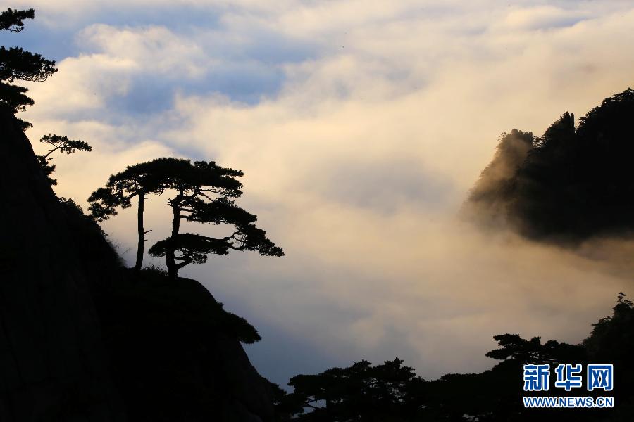 ????? ??????: ??????? ??????? ?? ????? ??? ??????