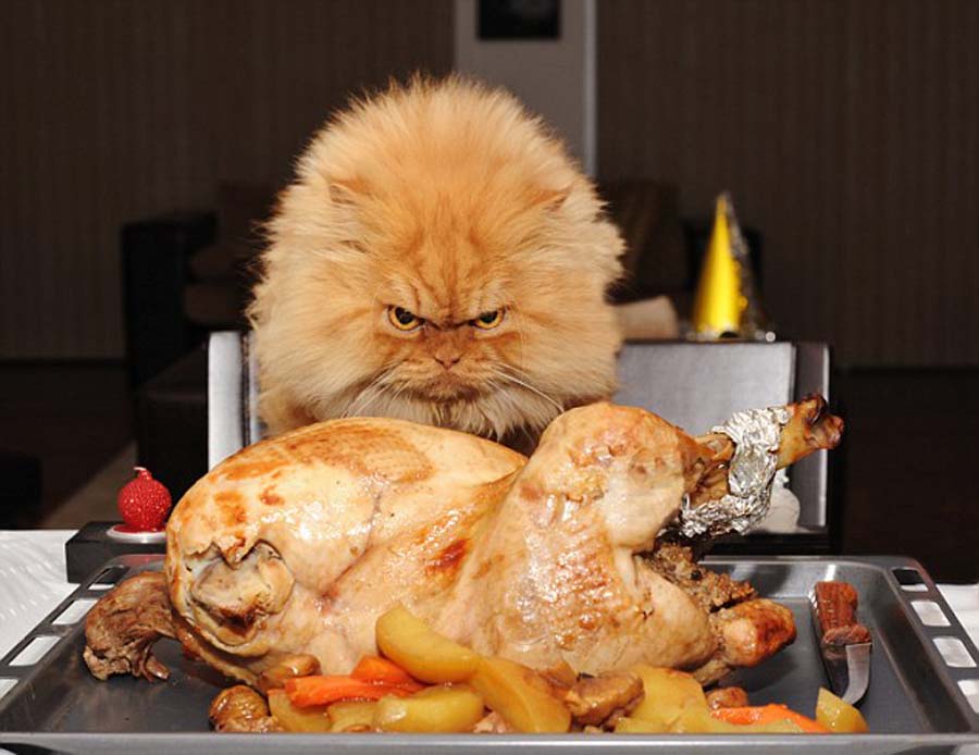 ??? ????? ????? ??????