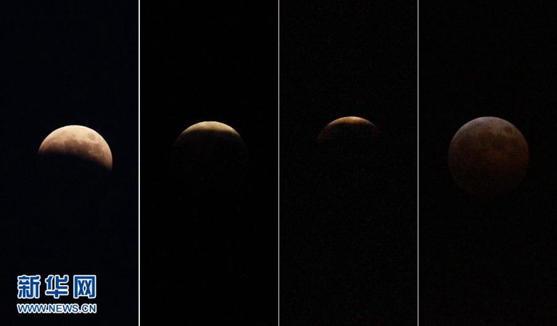 ???? "????? ?????? " ???? ?????? ?? ?????