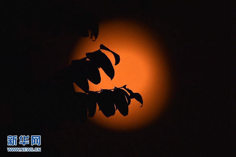 ???? "????? ?????? " ???? ?????? ?? ?????