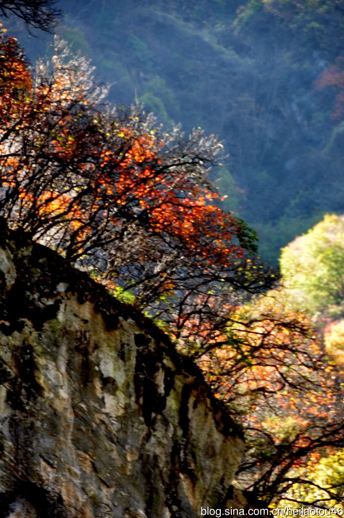 ???? ??? ???? ??? ?? ?????? ????? ??????? ?????????