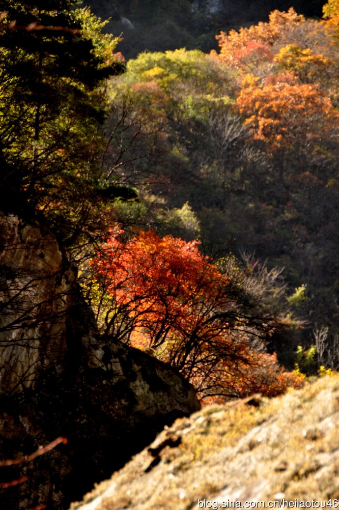 ???? ??? ???? ??? ?? ?????? ????? ??????? ?????????