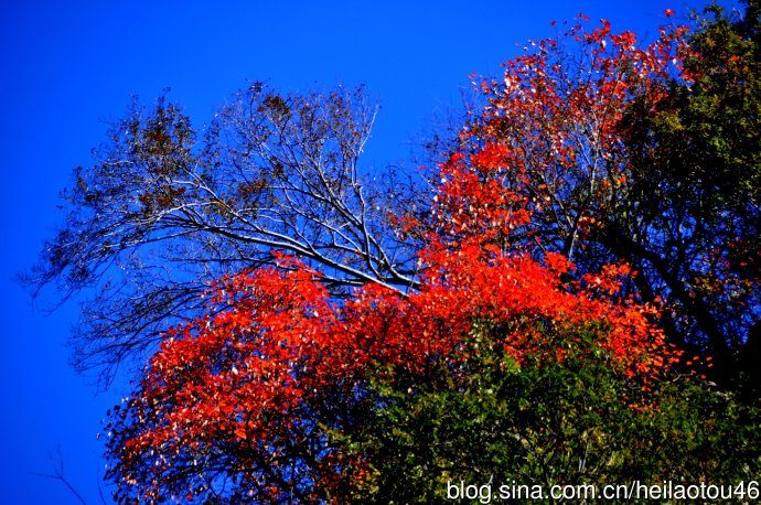 ???? ??? ???? ??? ?? ?????? ????? ??????? ?????????