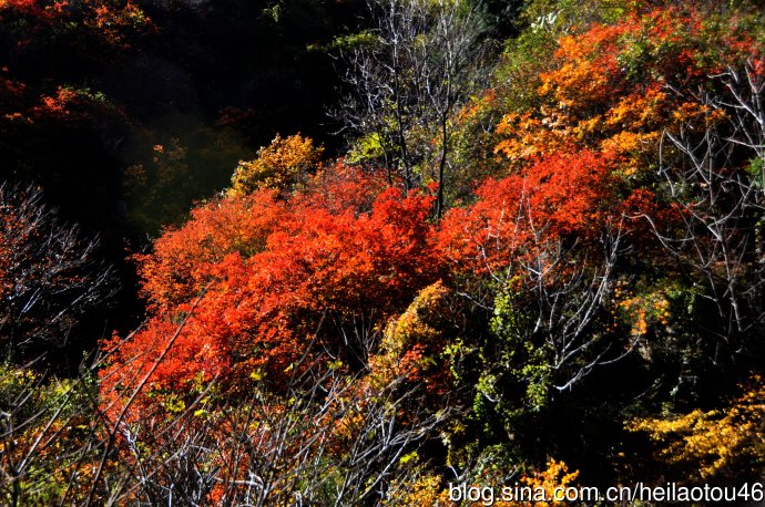 ???? ??? ???? ??? ?? ?????? ????? ??????? ?????????