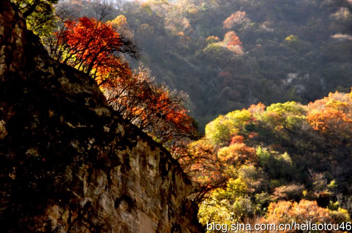 ???? ??? ???? ??? ?? ?????? ????? ??????? ?????????