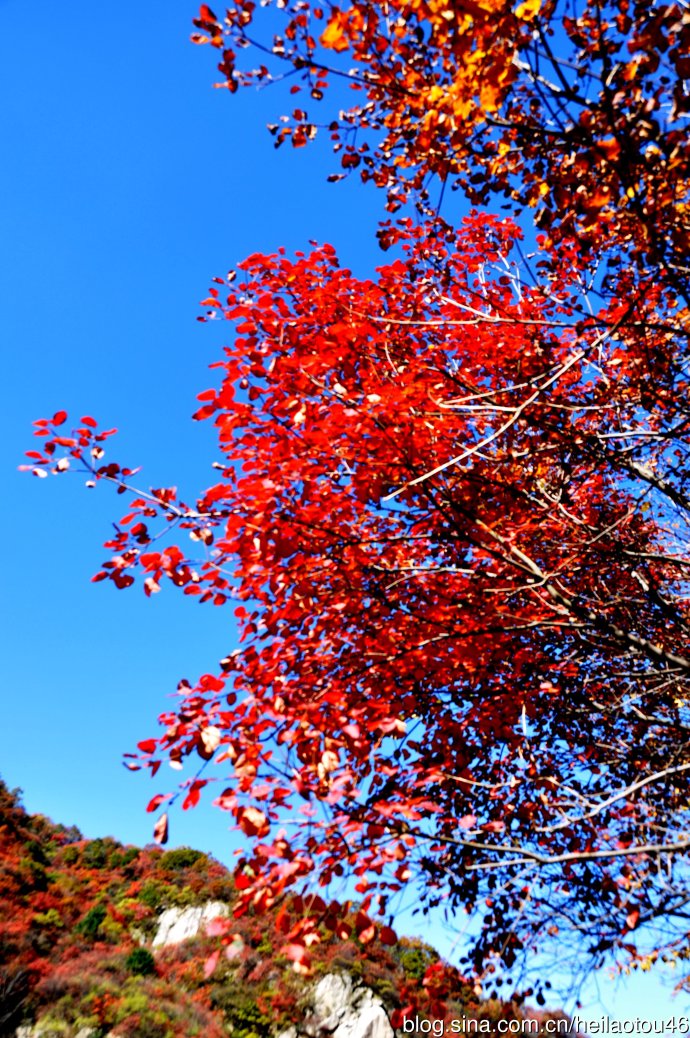 ???? ??? ???? ??? ?? ?????? ????? ??????? ?????????