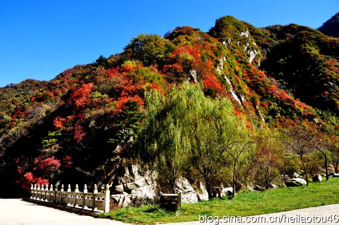 ???? ??? ???? ??? ?? ?????? ????? ??????? ?????????