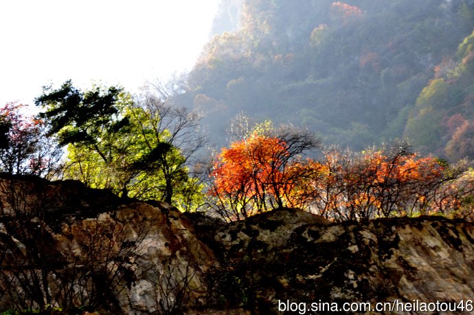 ???? ??? ???? ??? ?? ?????? ????? ??????? ?????????