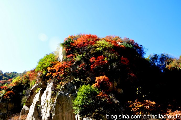 ???? ??? ???? ??? ?? ?????? ????? ??????? ?????????