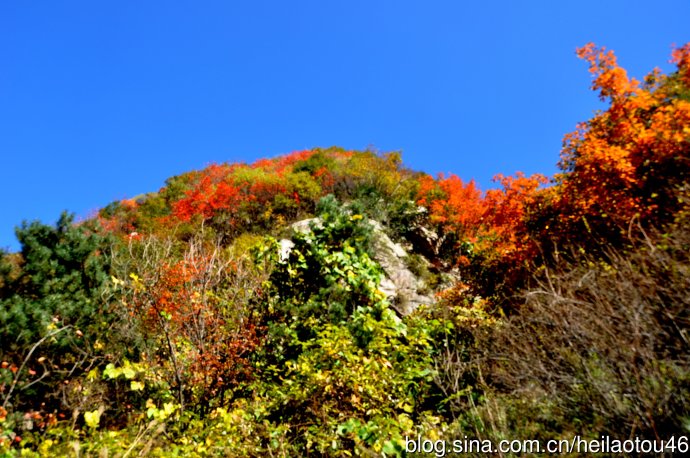 ???? ??? ???? ??? ?? ?????? ????? ??????? ?????????