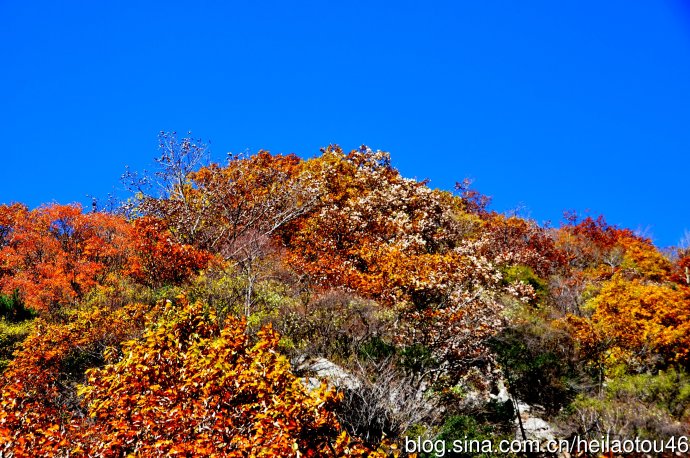 ???? ??? ???? ??? ?? ?????? ????? ??????? ?????????