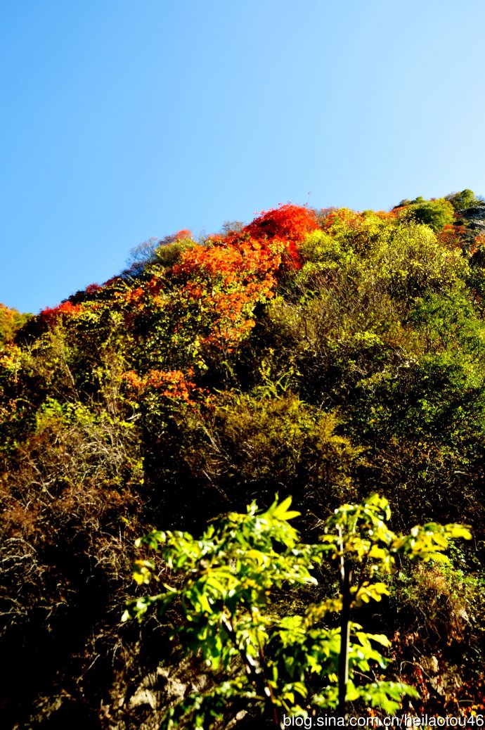 ???? ??? ???? ??? ?? ?????? ????? ??????? ?????????