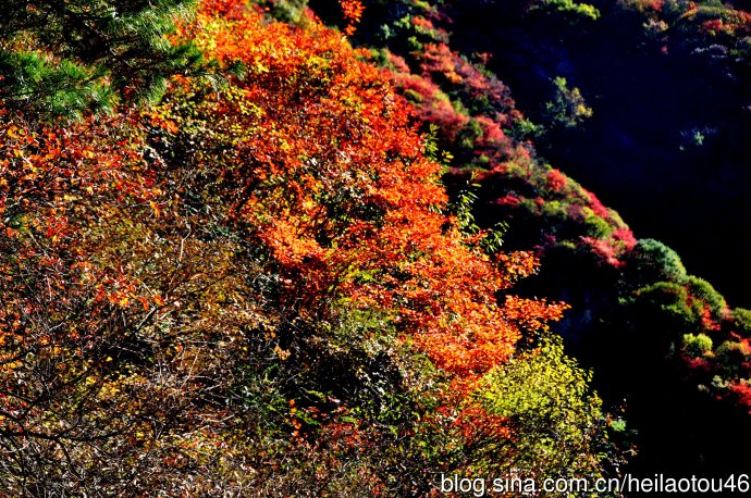 ???? ??? ???? ??? ?? ?????? ????? ??????? ?????????