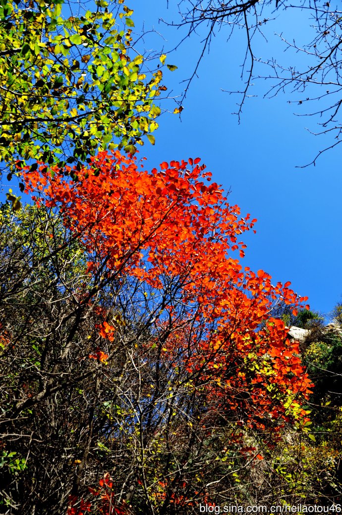 ???? ??? ???? ??? ?? ?????? ????? ??????? ?????????