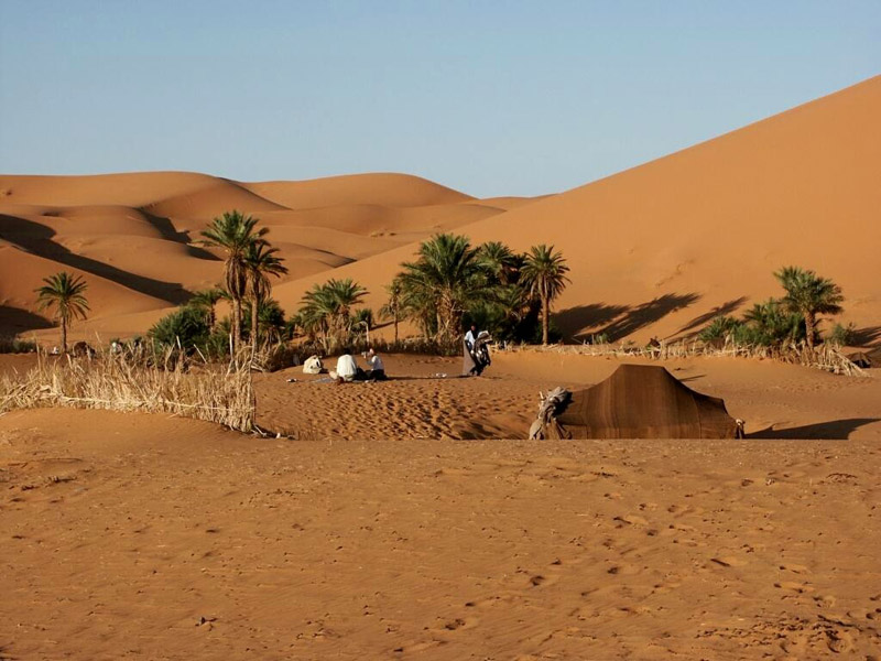 ?????? ????? ????? ???? 10 ????? ?????? ?? ???????