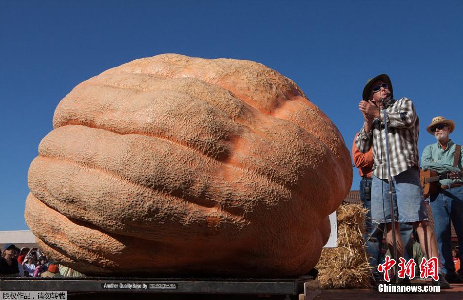 ???? ?????? ???? ??? ????? ??? 933 ??? ?? ?????? ??????? ????????